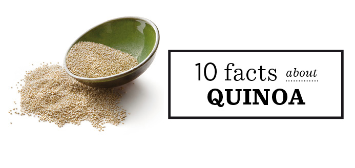 10 facts about quinoa | RICARDO