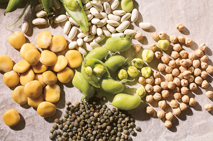 5 Different Types of Legumes