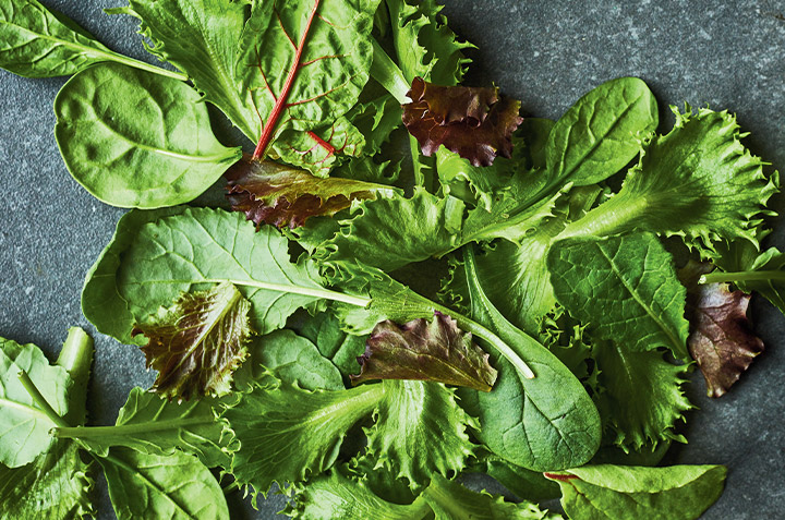 Un sac à salades pour conserver plus longtemps ses légumes