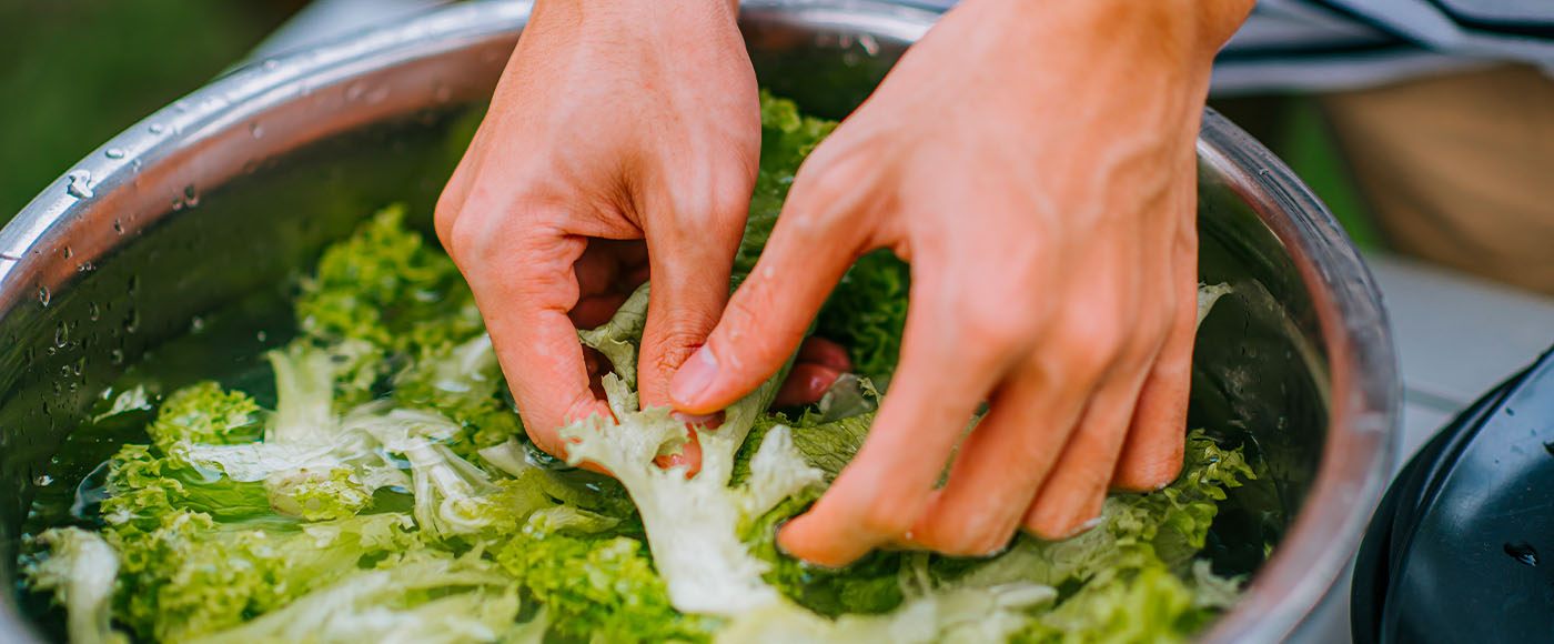How to Keep Fresh Lettuce Crisp Longer - My Turn for Us