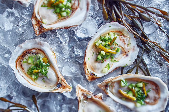 Oysters with Pickled Samphire, Cucumber and Dill