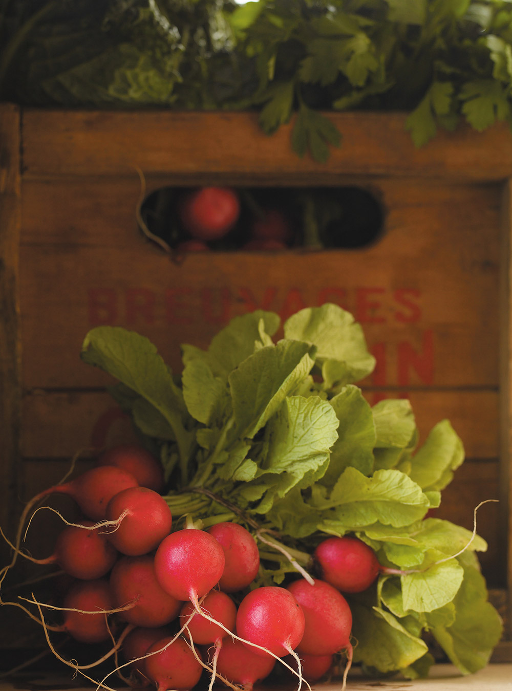 Autumn Radish, Apple and Turnip Salad 