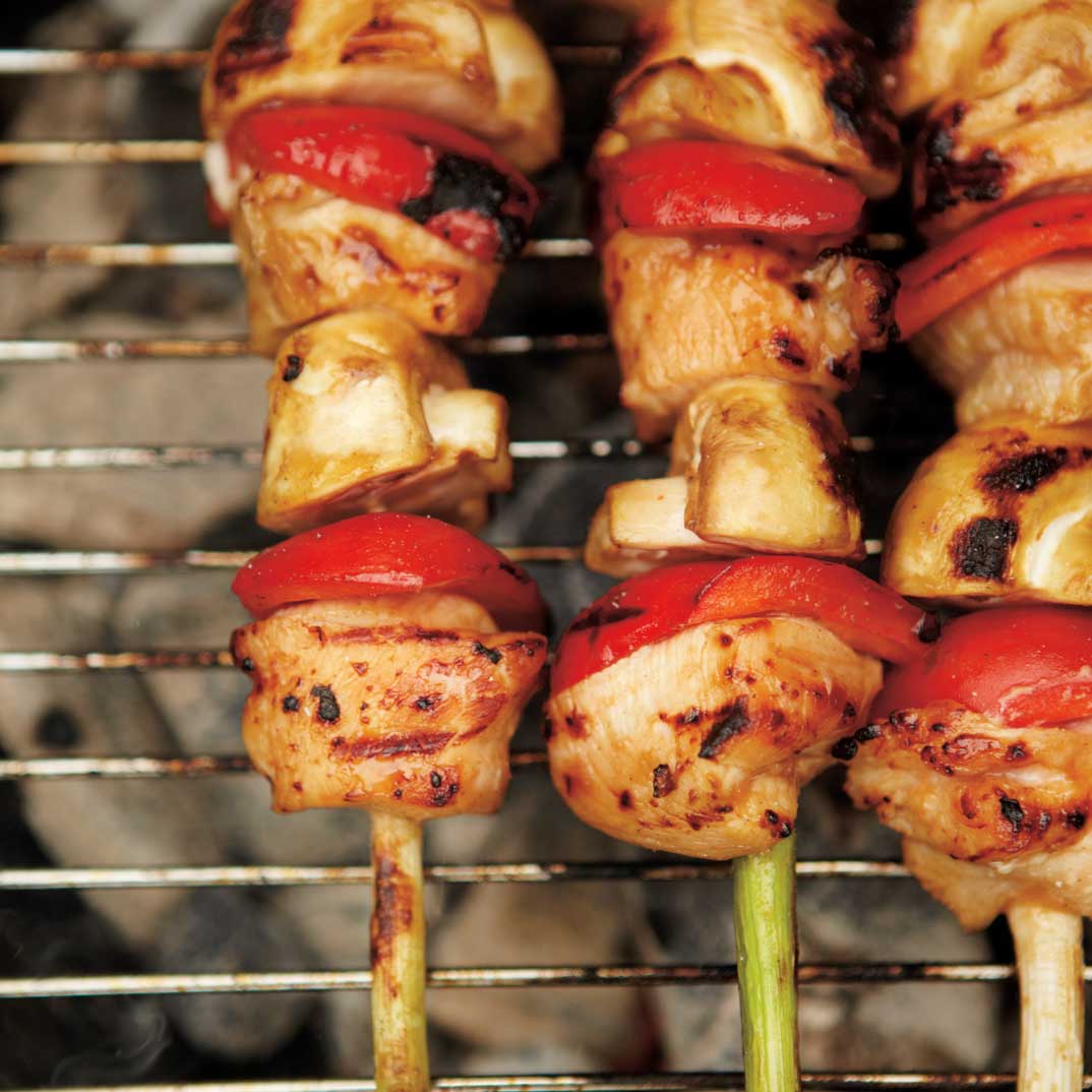 Chicken Skewers With Hoisin Sauce Ricardo