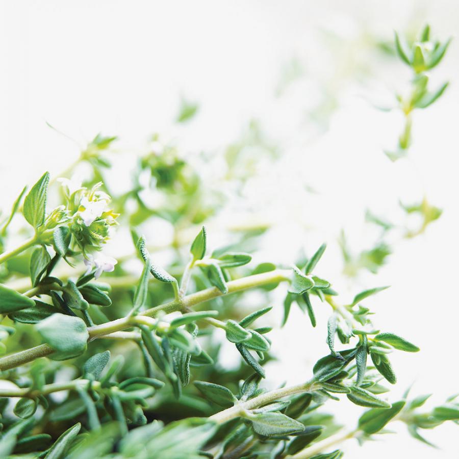 Pintade rôtie aux herbes