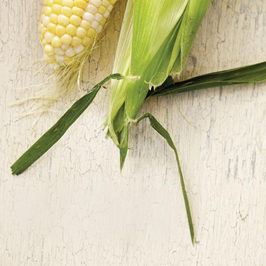 Chicken Tamales-image