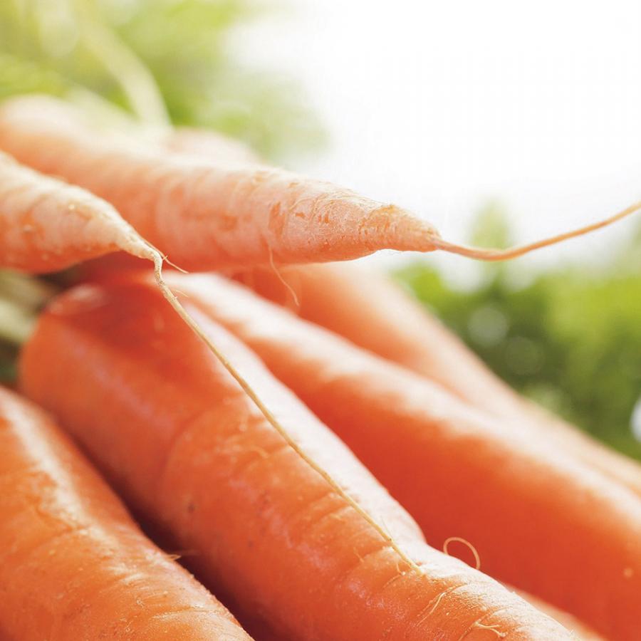 Lapin au septième ciel