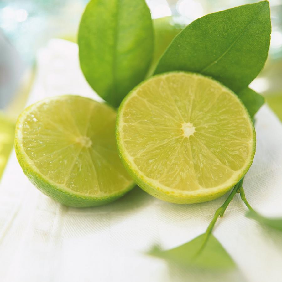 Lemon or Lime Syrup 