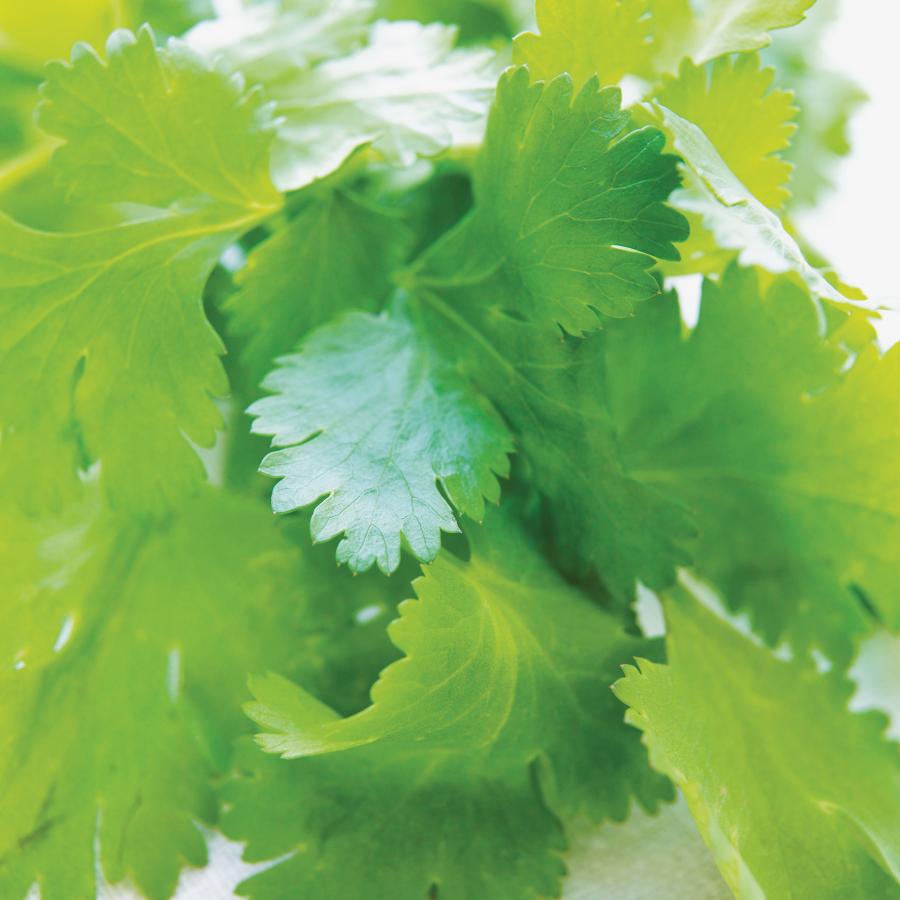 Risotto à la coriandre et aux petits pois