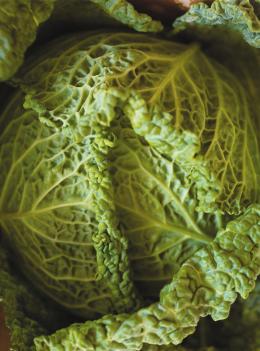 Soupe au chou et aux betteraves