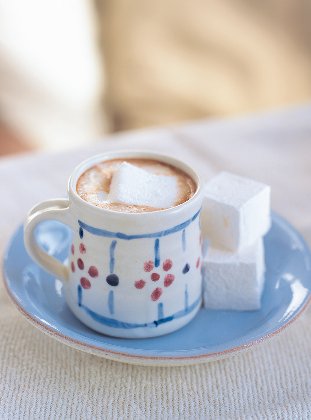 Hot Chocolate with Homemade Marshmallows