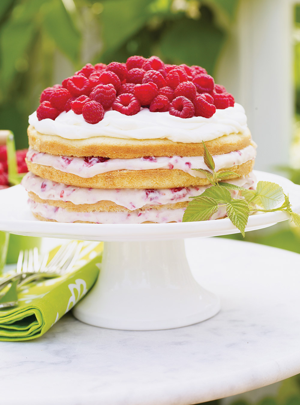 Raspberry Lamington Sponge Cake - www.thescranline.com