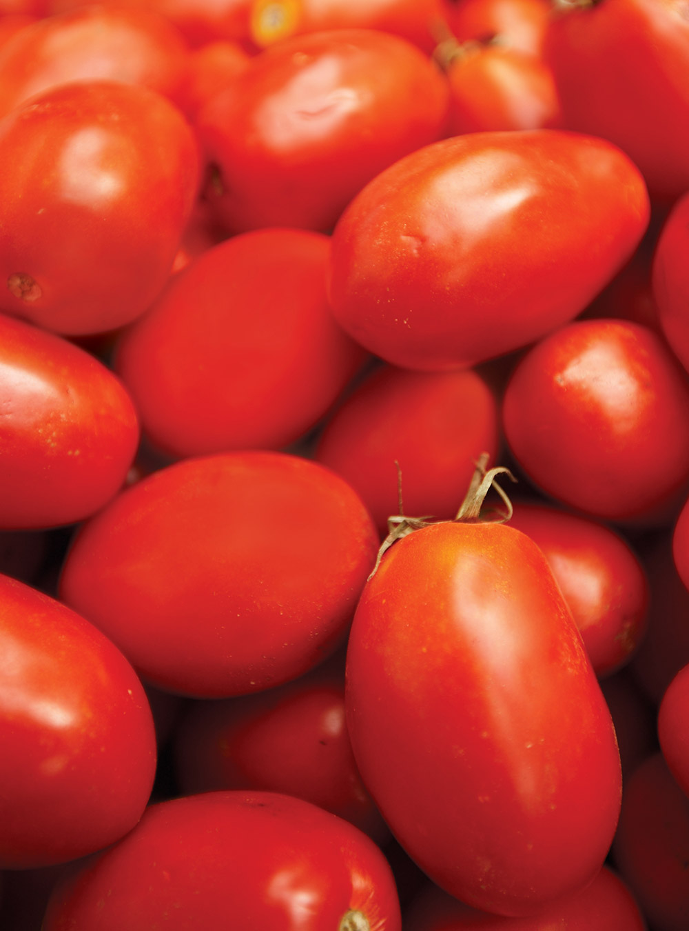 Sauce tomate avec tomates en conserve
