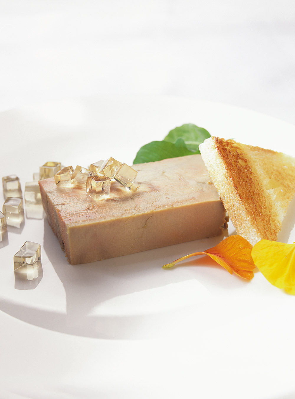 Terrine à foie gras