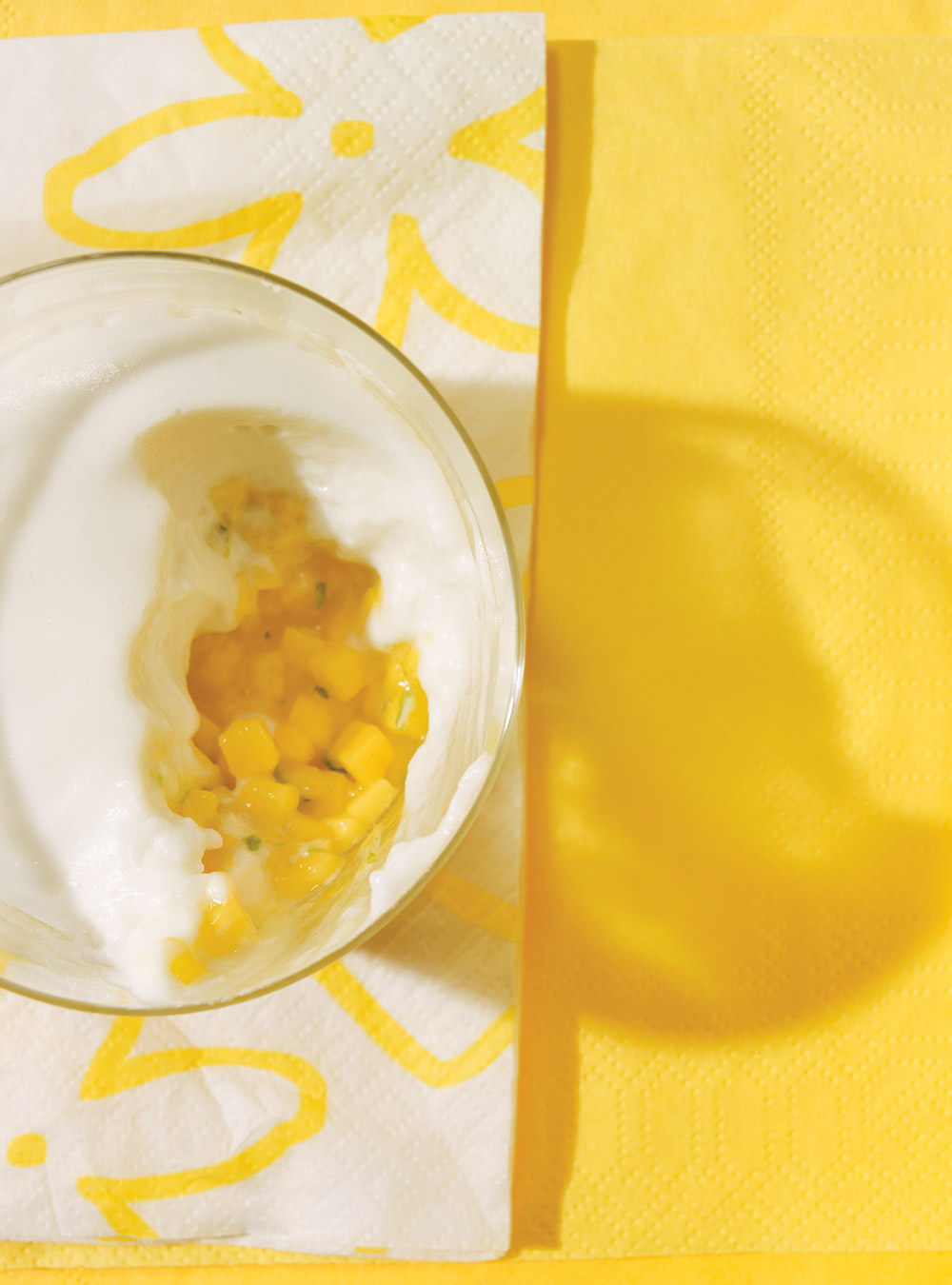 Mousse Mangue Et Lait De Coco RICARDO