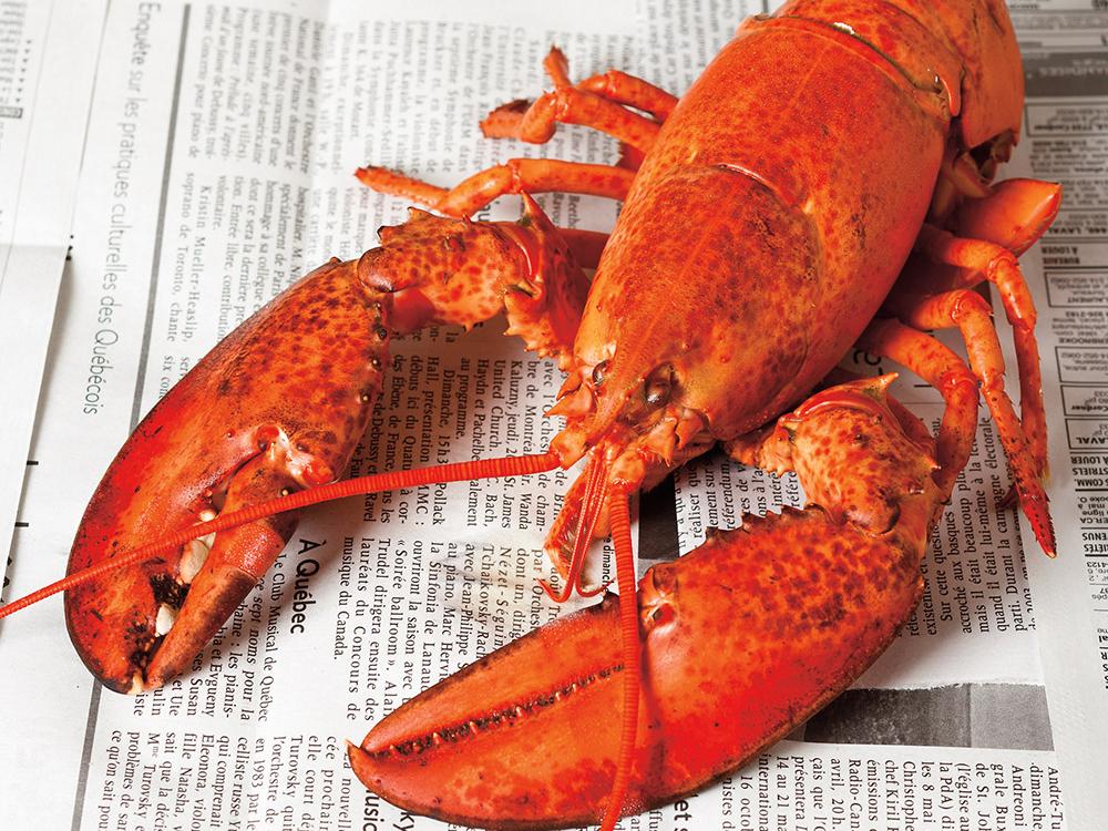 Lobster Nutrition: Is It Good for You and How Much Is OK to Eat?