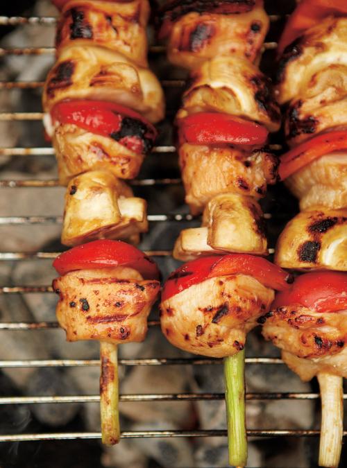 Support Vertical à Brochettes En Acier Inoxydable 21x20 Cm Avec Bac Récupérateur De Graisse | Idéal Barbecue Extérieur, Pique-nique | Inclus Pinceau à Huile