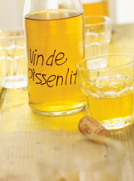 Vin de pissenlit RICARDO