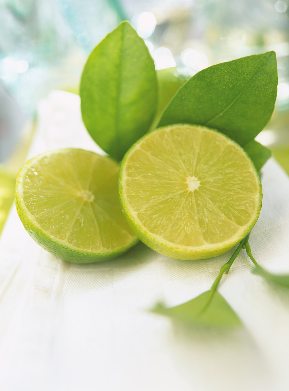 Lemon or Lime Syrup 