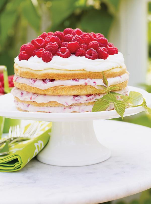 Gateau Aux Framboises Et A La Creme Ricardo