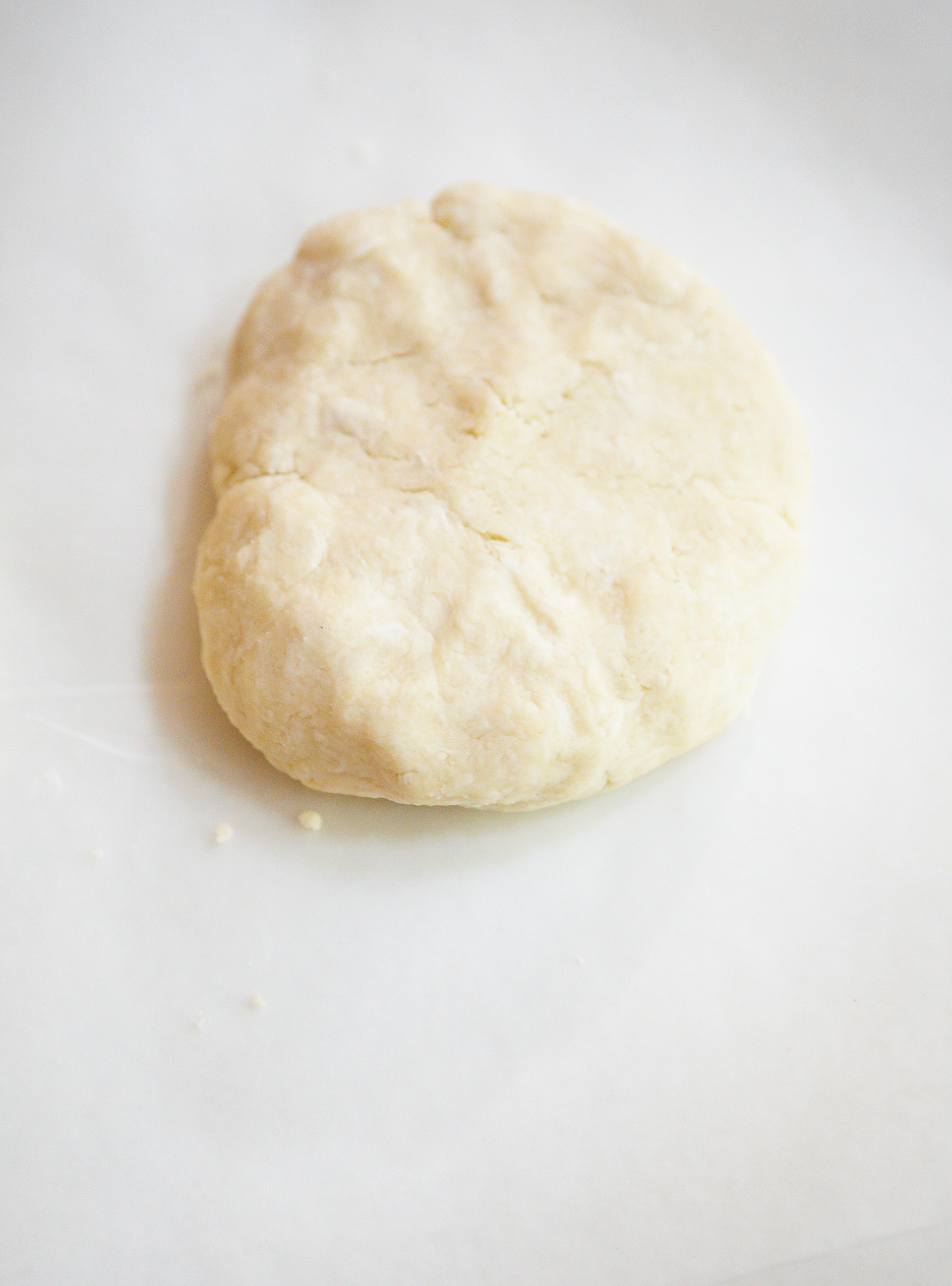 Whole Wheat Pastry Dough