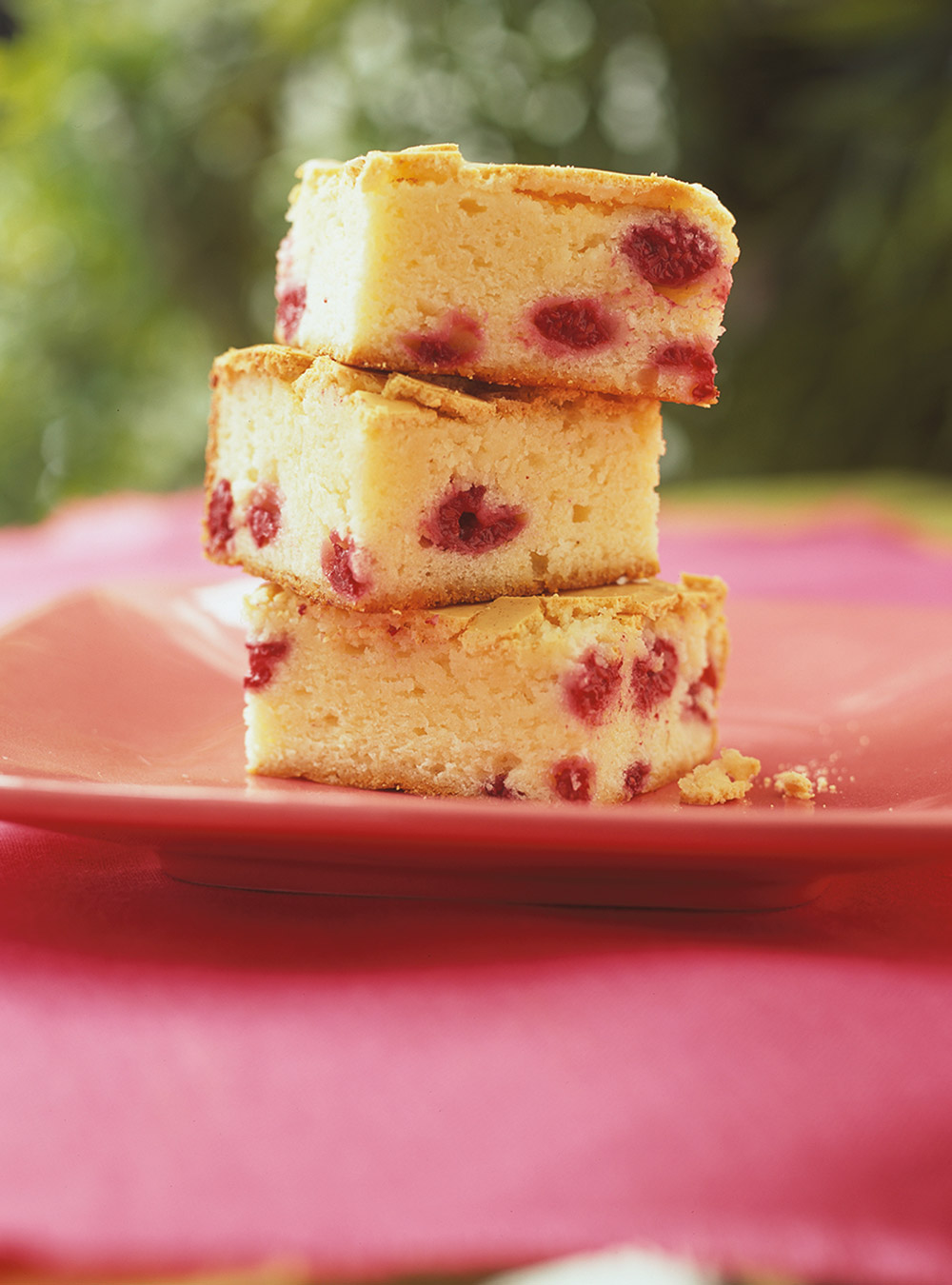 White Chocolate and Raspberry Squares