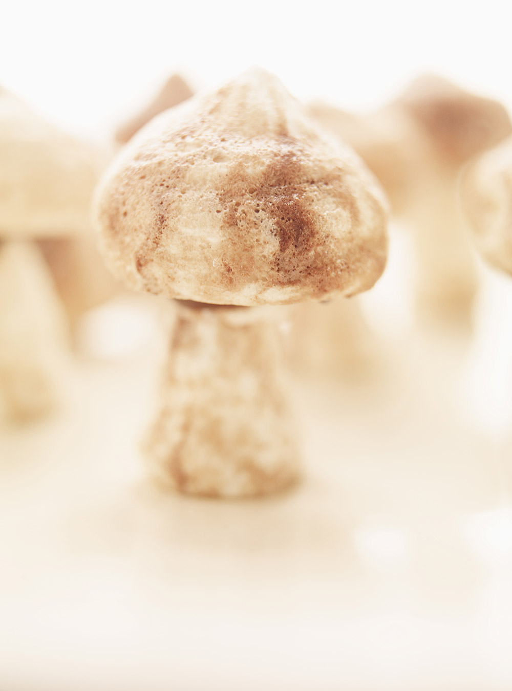Meringue Mushrooms 