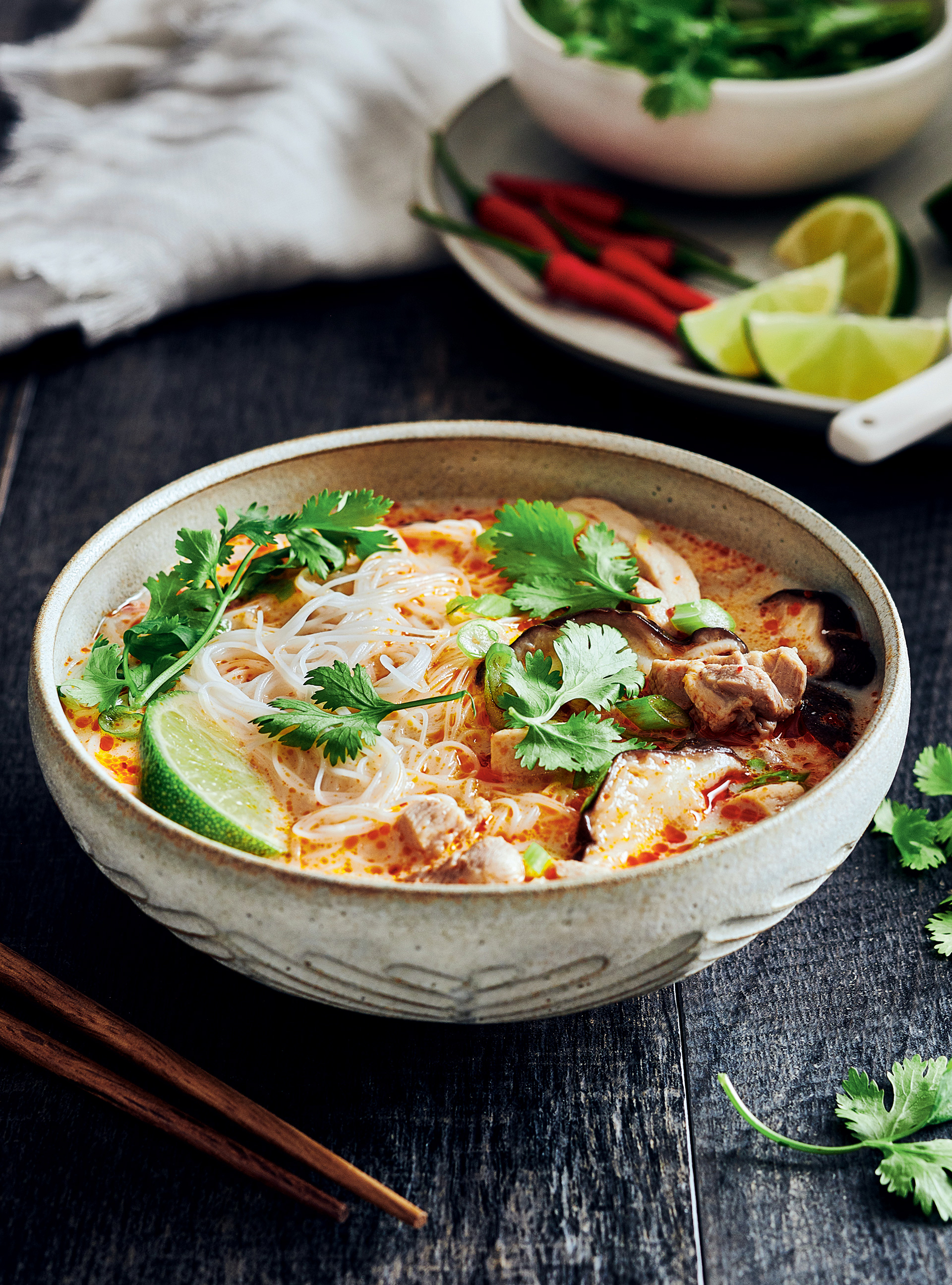 Tom Kha-Style Chicken and Coconut Milk Soup
