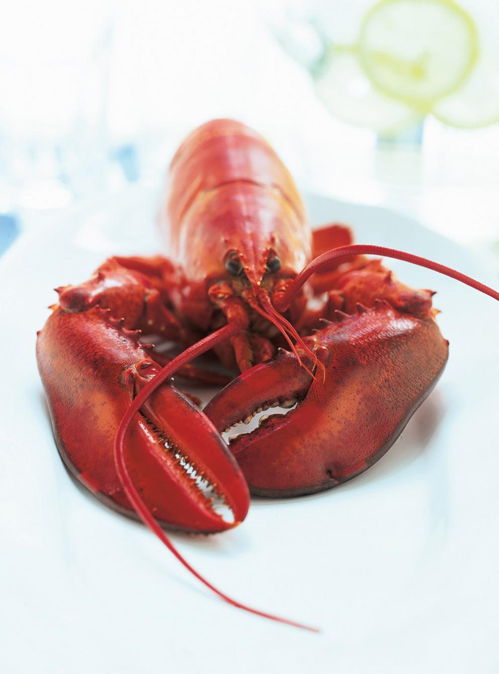 Homard à la vanille RICARDO