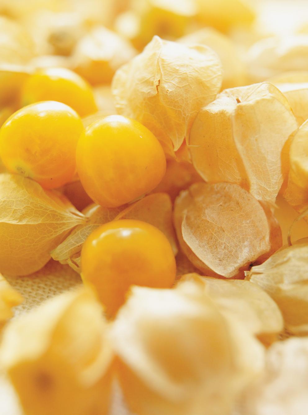 Sirop au thé Earl Grey et aux cerises de terre RICARDO