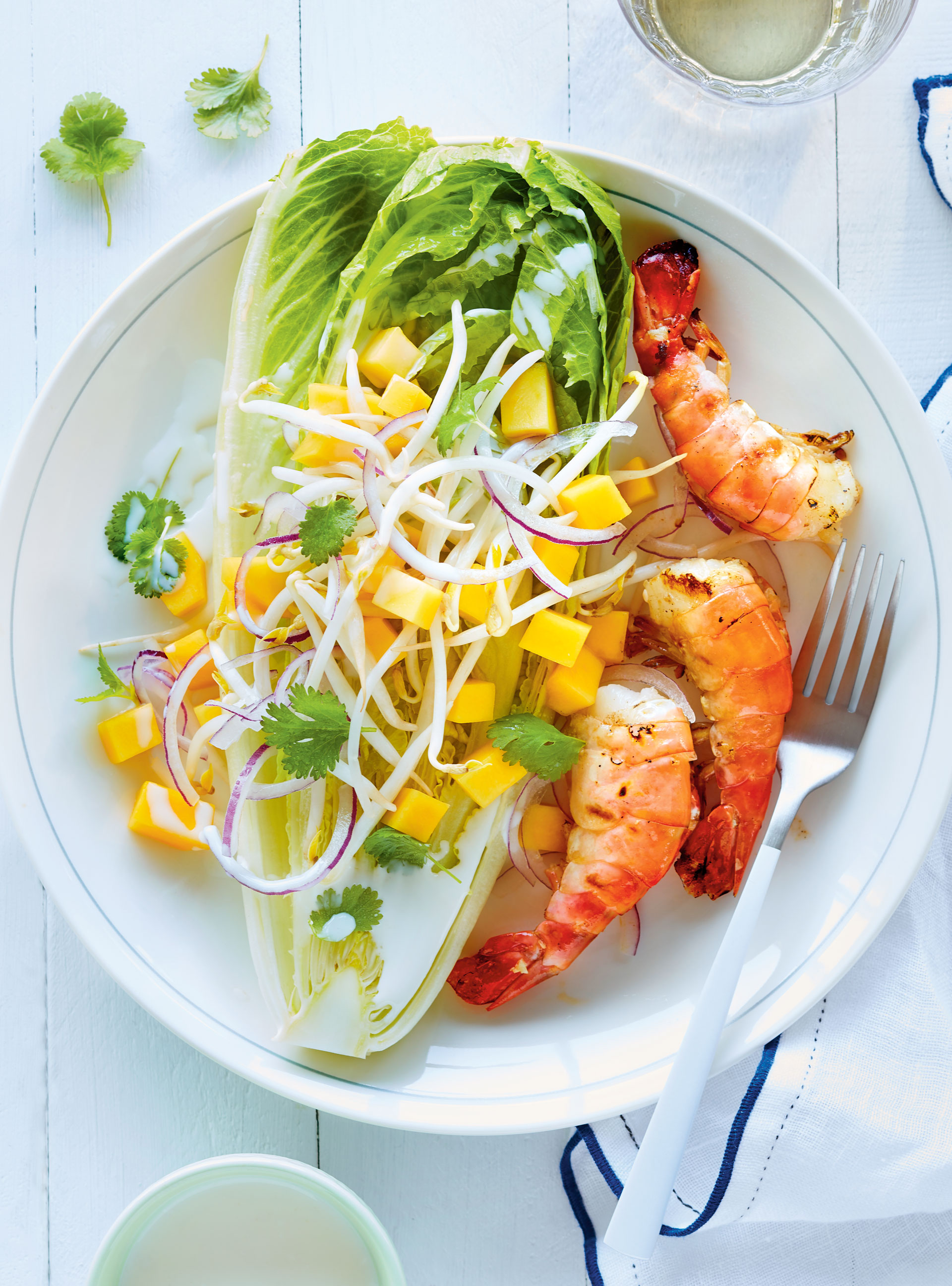 Grilled Shrimp with Romaine Lettuce and Coconut Milk Dressing