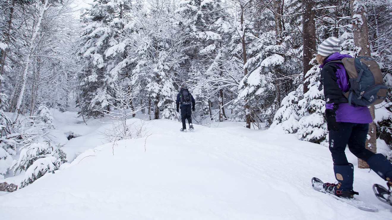 Megantic snowshoe hike