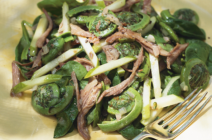 Warm Duck Confit and Fiddlehead Salad