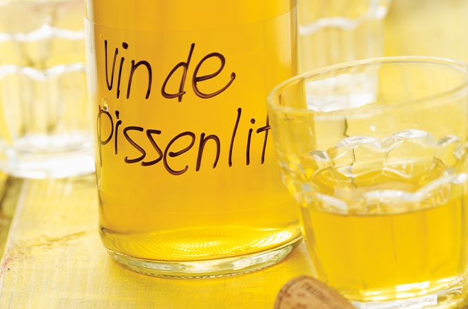 Vin de pissenlit