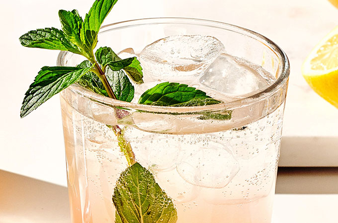Mint and Citrus Gin Fizz