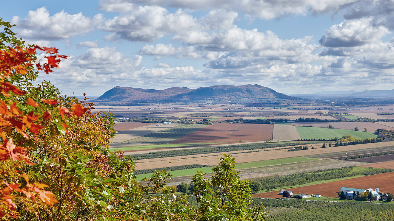 Montérégie