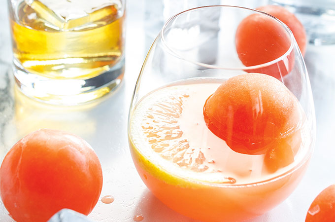 Grapefruit Tonic Mocktail