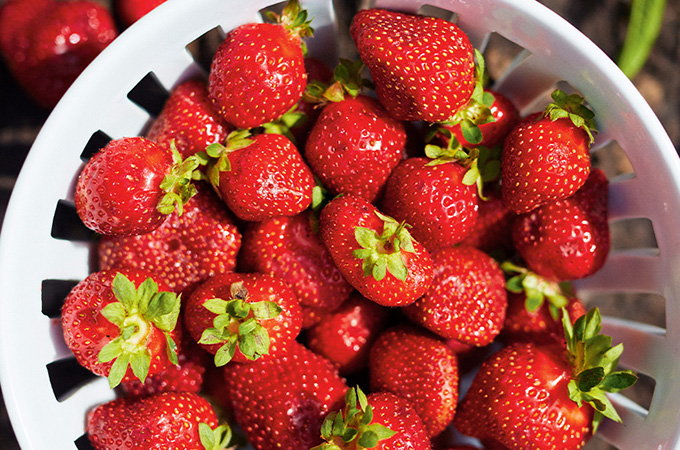 10 faits sur les fraises